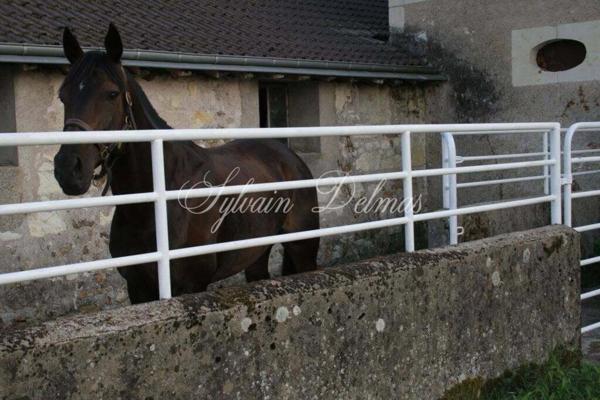 Propriete à vendre 11 pièces LANGEAIS (37)