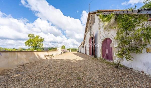 Propriete à vendre 11 pièces LANGEAIS (37)