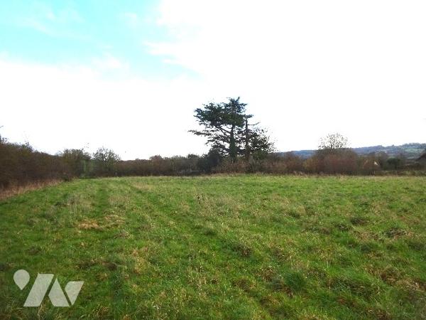 PRAIRIE A VENDRE A SAINT HILAIRE SUR ERRE