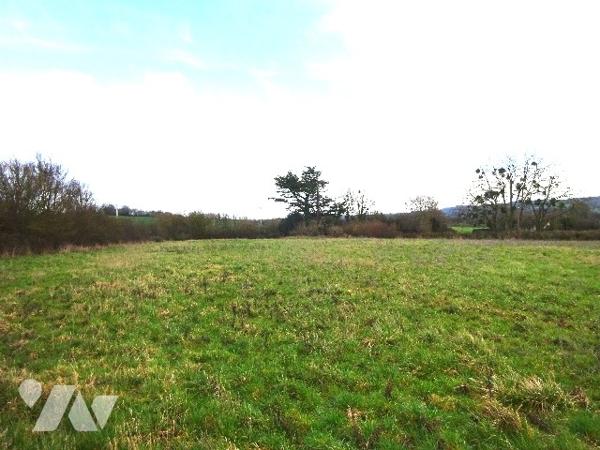 PRAIRIE A VENDRE A SAINT HILAIRE SUR ERRE