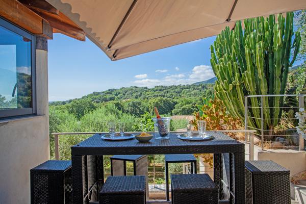 Propriété d'exception avec piscine, T3 indépendant et vaste terrain arboré à Venzolasca