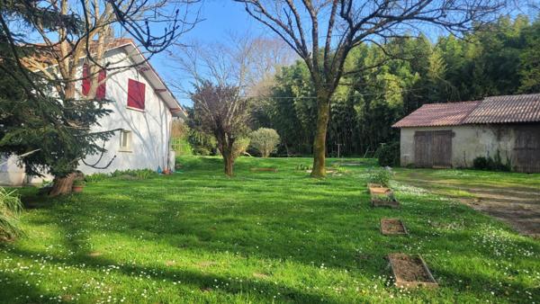 Maison à vendre    9 pièces •  Josse