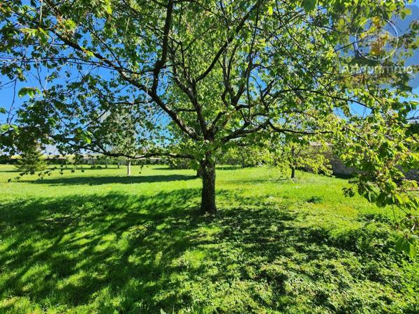 Vente                                                      Maison
                        
                     5 pièces                      166 m2                     à Beaugency