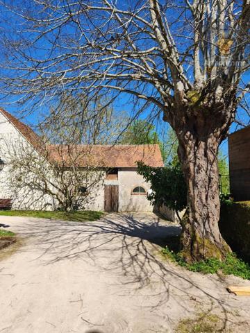 Vente                                                      Maison
                        
                     5 pièces                      166 m2                     à Beaugency