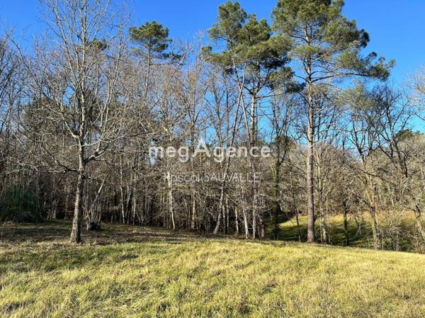 Terrain à CAMPSEGRET, 24140 - 23500m²
