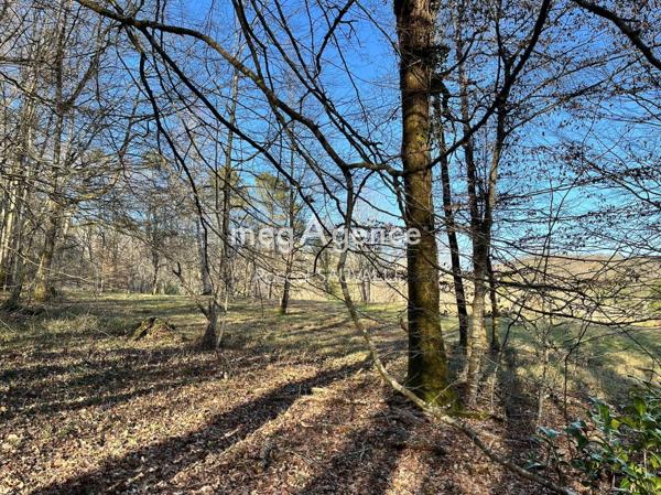 Terrain à CAMPSEGRET, 24140 - 23500m²