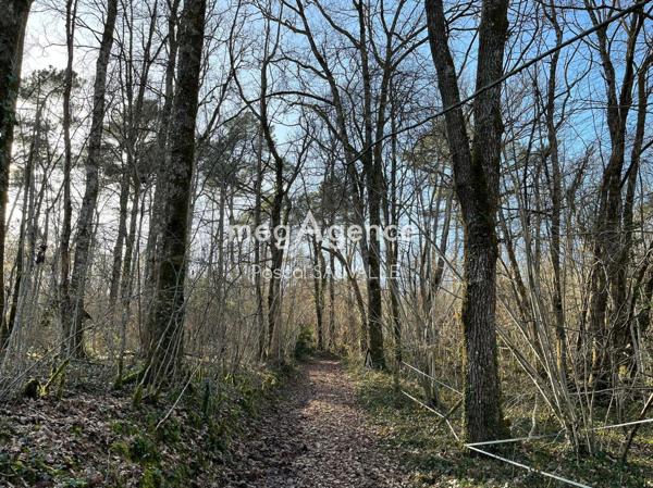 Terrain à CAMPSEGRET, 24140 - 23500m²