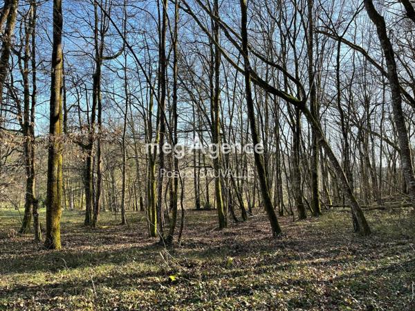 Terrain à CAMPSEGRET, 24140 - 23500m²