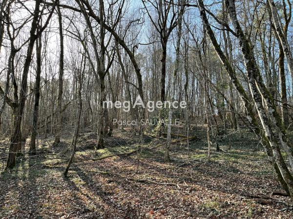 Terrain à CAMPSEGRET, 24140 - 23500m²