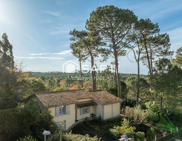 Vue dune du Pyla – Grande parcelle au calme