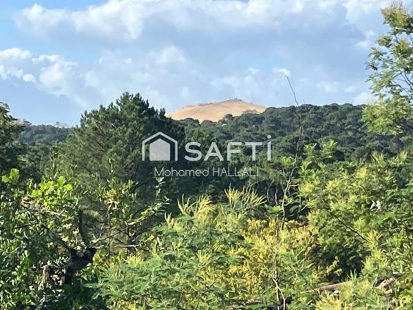 Vue dune du Pyla – Grande parcelle au calme