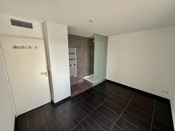 Montpellier (34000) CASTELNAU LE LEZ (34), Roof Top à 11 min comédie