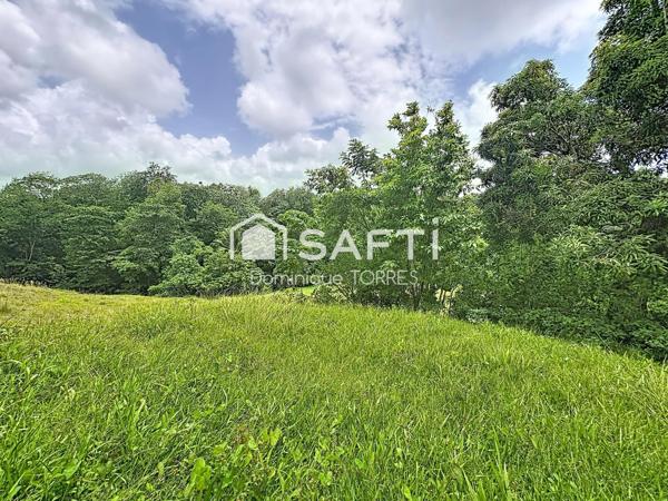LE ROBERT – TERRAIN À BÂTIR 2 555 M² – 797 M² CONSTRUCTIBLES