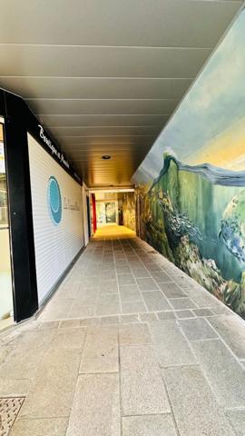 Cocon de Charme sous les Toits : Studio de Standing avec Vue Imprenable sur la Place de l'Église