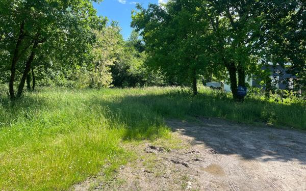 Terrain à vendre    La Tremblade