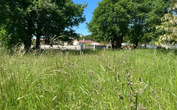 Terrain à vendre    La Tremblade