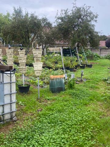 Maison à vendre 7 pièces (70)