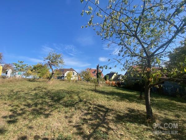 3%.COM Très beau terrain 10 ares en seconde ligne à DETTWILLER Dettwiller (67490)