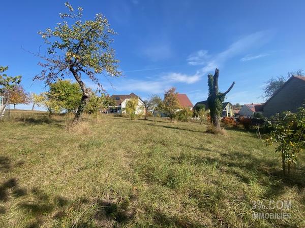 3%.COM Très beau terrain 10 ares en seconde ligne à DETTWILLER Dettwiller (67490)