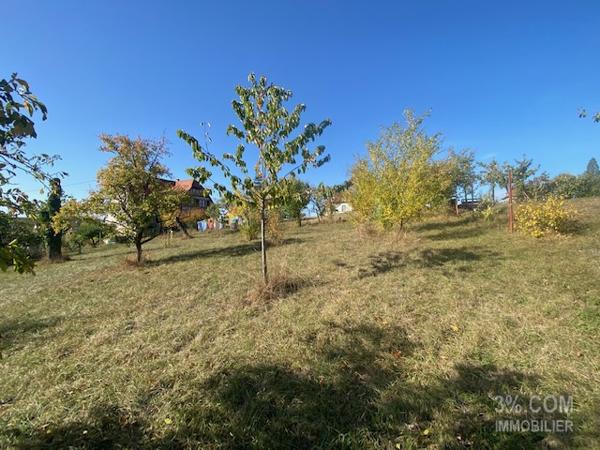 3%.COM Très beau terrain 10 ares en seconde ligne à DETTWILLER Dettwiller (67490)