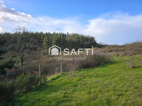 Terrain 2 ha en coteau