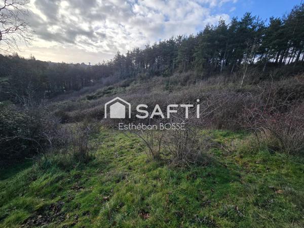 Terrain 2 ha en coteau
