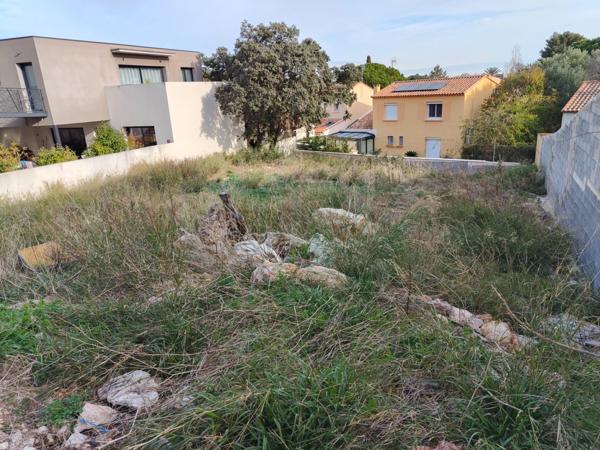 Dpt Hérault (34), à vendre FRONTIGNAN terrain
