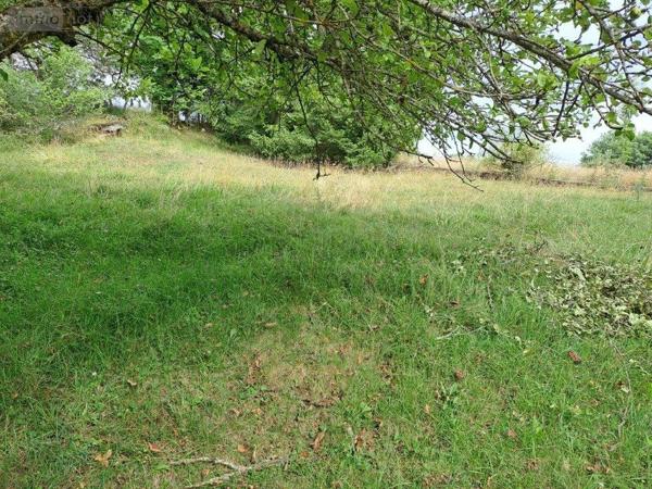 Maison à vendre à Villedieu dans le Cantal (15100), ref : 044/1202