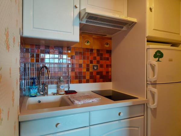 APPARTEMENT T2 LES MINIMES
