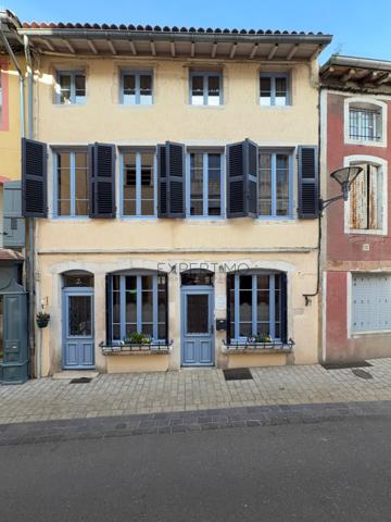 Tournus (71700) TOURNUS – Demeure historique du XVIIe siècle – Charme, élégance et art de vivre bourguignon