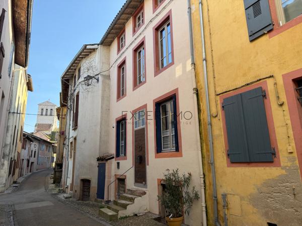 Tournus (71700) TOURNUS – Demeure historique du XVIIe siècle – Charme, élégance et art de vivre bourguignon