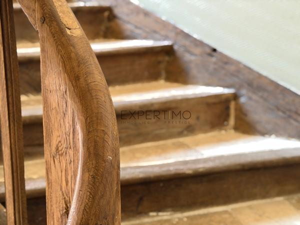 Tournus (71700) TOURNUS – Demeure historique du XVIIe siècle – Charme, élégance et art de vivre bourguignon