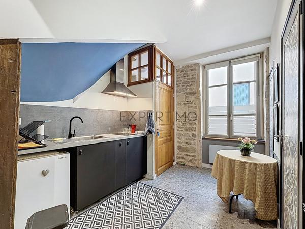 Tournus (71700) TOURNUS – Demeure historique du XVIIe siècle – Charme, élégance et art de vivre bourguignon