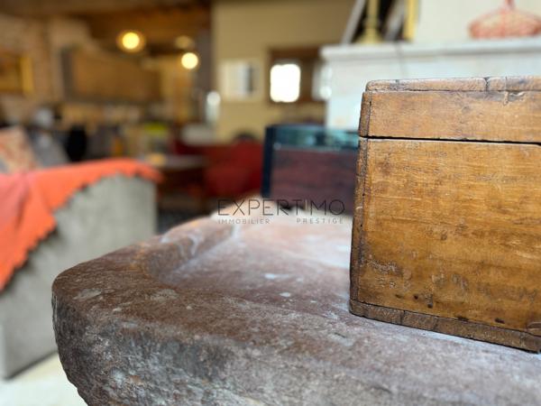 Tournus (71700) TOURNUS – Demeure historique du XVIIe siècle – Charme, élégance et art de vivre bourguignon