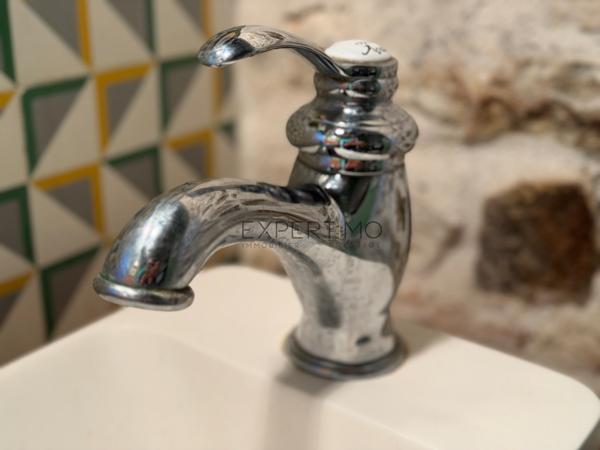 Tournus (71700) TOURNUS – Demeure historique du XVIIe siècle – Charme, élégance et art de vivre bourguignon