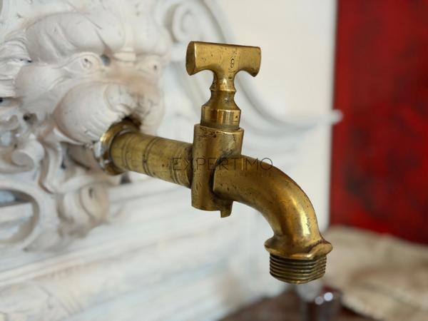 Tournus (71700) TOURNUS – Demeure historique du XVIIe siècle – Charme, élégance et art de vivre bourguignon