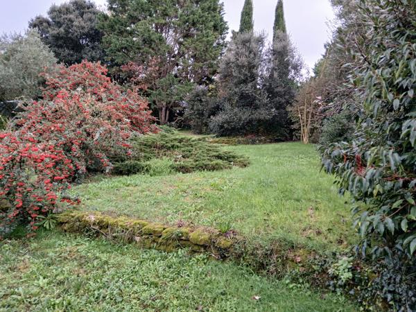 Maison ancienne à rénover à Archingeay