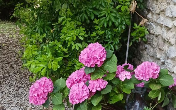 Maison à vendre    4 pièces • 132,77 m2 Beauvilliers