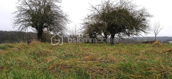 Terrain de 2 597 m²