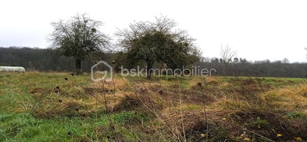 Terrain de 2 597 m²