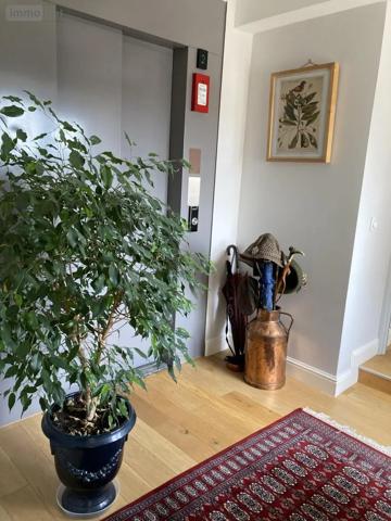 Achat - Appartement Laval 53000 8 pièces 193 m 2 1895 m 2