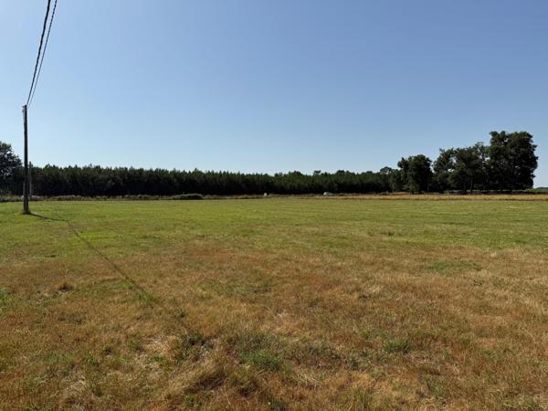 Grand Terrain à bâtir avec possibilité terrain supplémentaire