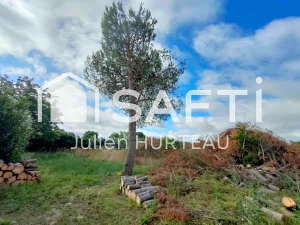 Terrain constructible