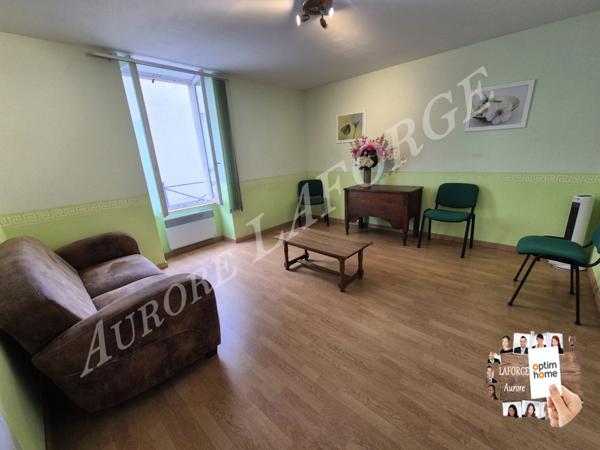 Maison à vendre 7 pièces LE BLANC (36) en centre ville, 50 min de Chateauroux et de Chatellerault,35min de Chauvigny