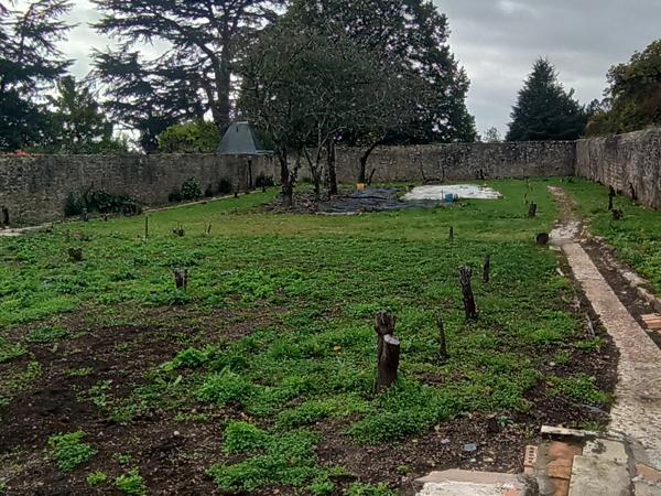 Maison de bourg avec joli terrain