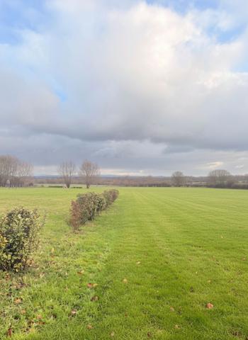 Terrain 751 m2
