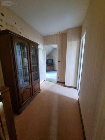 Maison individuelle à vendre à Neuvy-Saint-Sépulchre dans l'Indre (36230), ref : CG/336