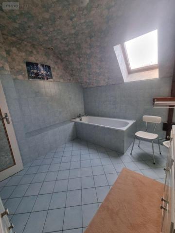 Maison individuelle à vendre à Neuvy-Saint-Sépulchre dans l'Indre (36230), ref : CG/336