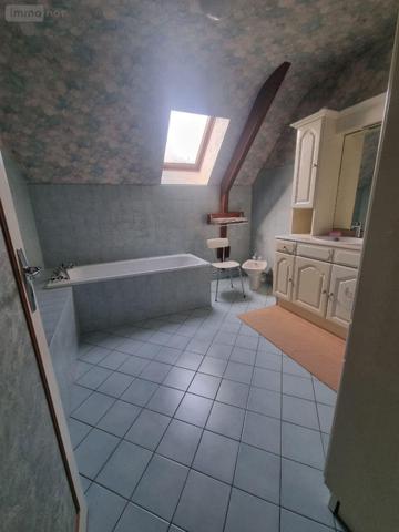 Maison individuelle à vendre à Neuvy-Saint-Sépulchre dans l'Indre (36230), ref : CG/336