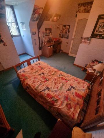 Maison individuelle à vendre à Neuvy-Saint-Sépulchre dans l'Indre (36230), ref : CG/336